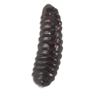 Iron Trout T-Magg Schwarz