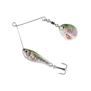 Micro Spinne Regenbogenforelle