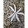 Feinripp Probaits Paladin 65mm Showflake Knoblauch