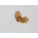 Probaits Prornado 2,5 cm Knoblauch Gold