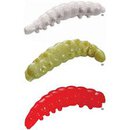 Honey Worm Red Yellow