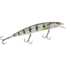 MK Adventure Zander Scheuche 11 cm Zander