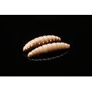Libra Lures Larva 35 mm GARLIC 035 Pellets