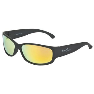Iron Clas Pol-Glasses grau-gelb